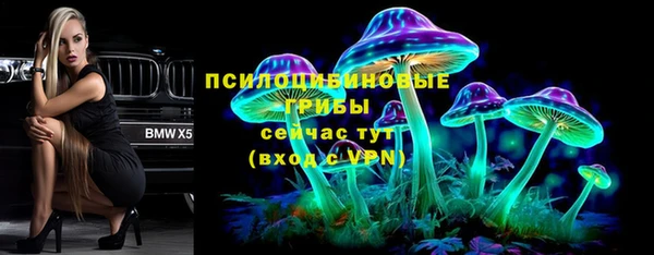 a pvp Беломорск