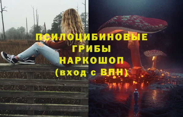 a pvp Беломорск